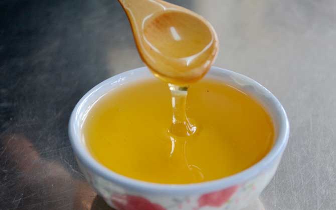 稀有蜜種的種類(lèi)及介紹 黃柏蜜