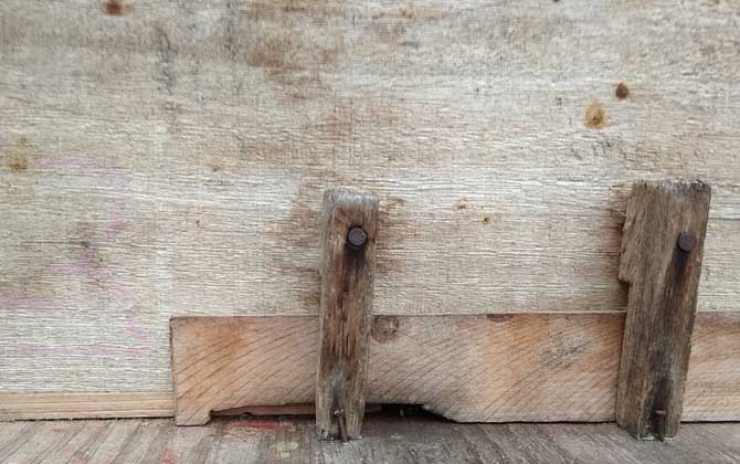 中蜂用什么蜂箱養(yǎng)最好? 中蜂用什么蜂箱