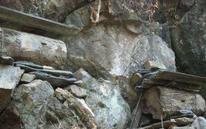 蜂蠟怎樣誘蜂效果最好? 誘蜂