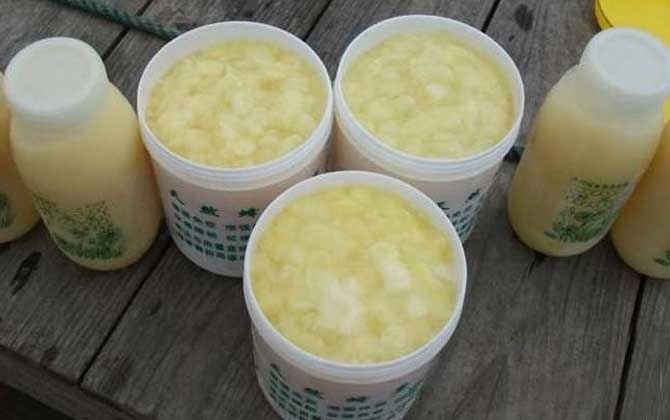 女人長期吃蜂王漿的好處,不但能美容養顏,還能延緩衰老速度! 蜂王漿