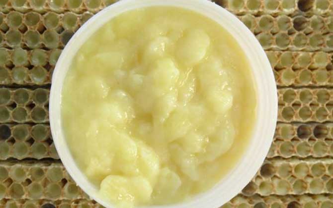 女人長期吃蜂王漿的好處,不但能美容養顏,還能延緩衰老速度! 蜂王漿