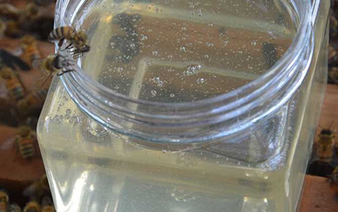 洋槐蜂蜜有什么功效與作用?經常喝洋槐蜂蜜,這7個好處跑不了! 洋槐蜂蜜