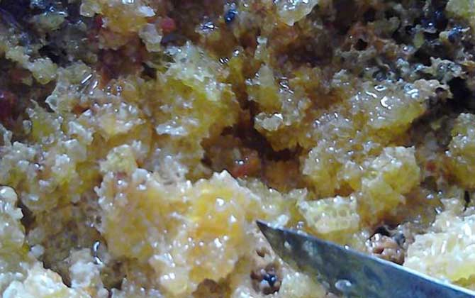 土蜂蜜和普通蜂蜜的區(qū)別,不但釀制蜂種不同,營養(yǎng)價值也不同! 土蜂蜜