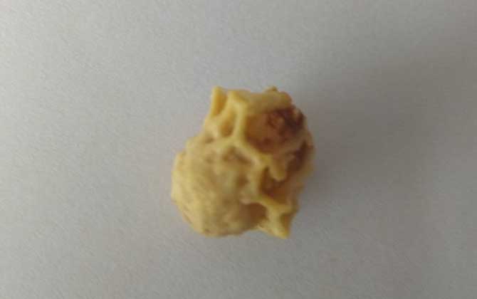 中蜂王臺(tái)多久看一次?阻止分蜂1周看一次,若要分蜂3天看一次! 王臺(tái)