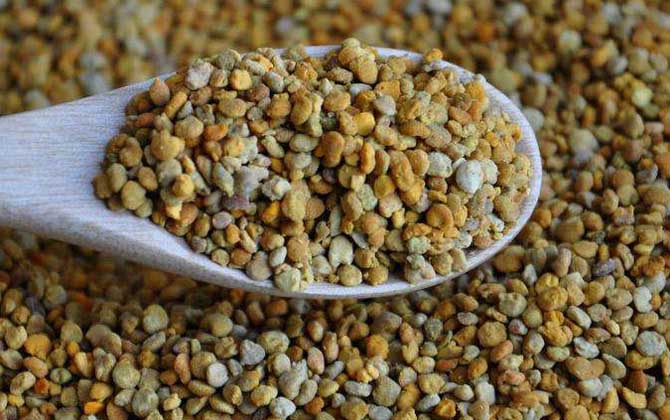 男人吃花粉影響性功能嗎?有一定的改善作用,長期服用能壯陽! 花粉