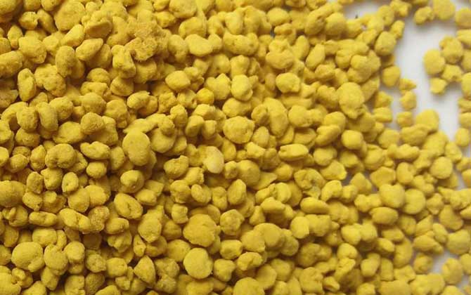 花粉怎么吃減肥效果好?必須要適量食用,還要注意禁忌人群! 花粉