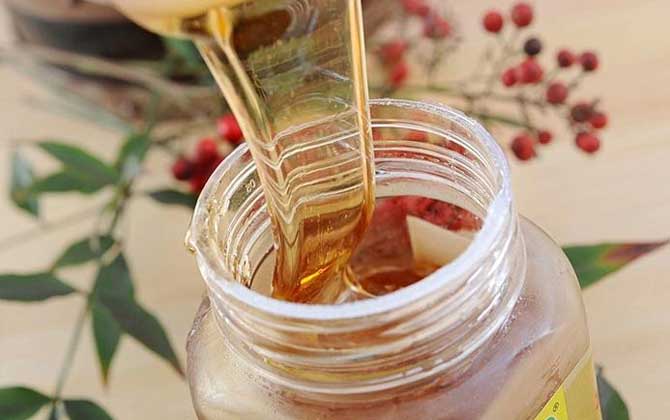 五味子蜂蜜的功效與作用及食用方法 五味子蜂蜜