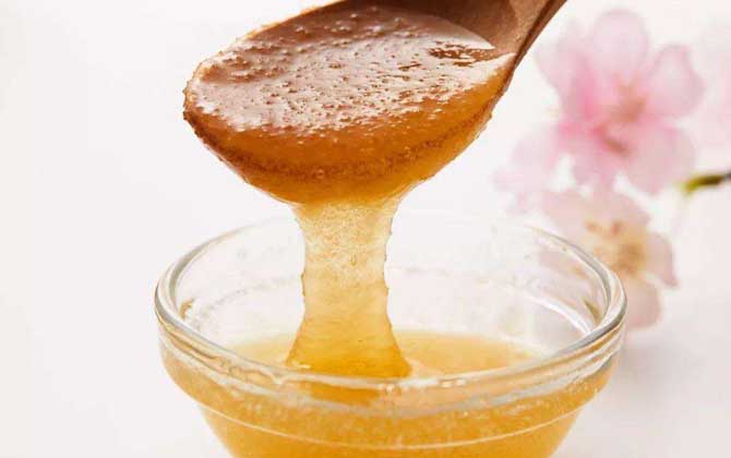 黃連蜜的作用與功效及食用方法 黃連蜜