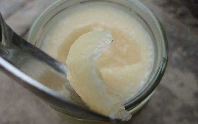 鴨腳木蜜的作用與功效及食用方法 鴨腳木蜜