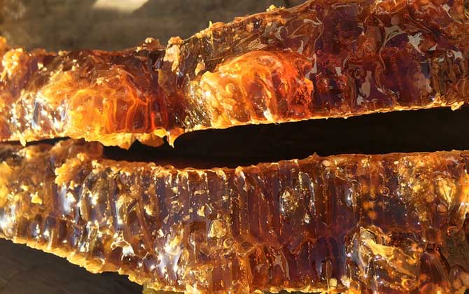 蜂蜜價格為什么有高有低? 蜂蜜