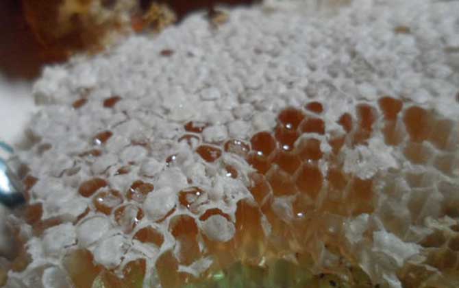 純天然蜂蜜多少錢一斤? 純天然蜂蜜