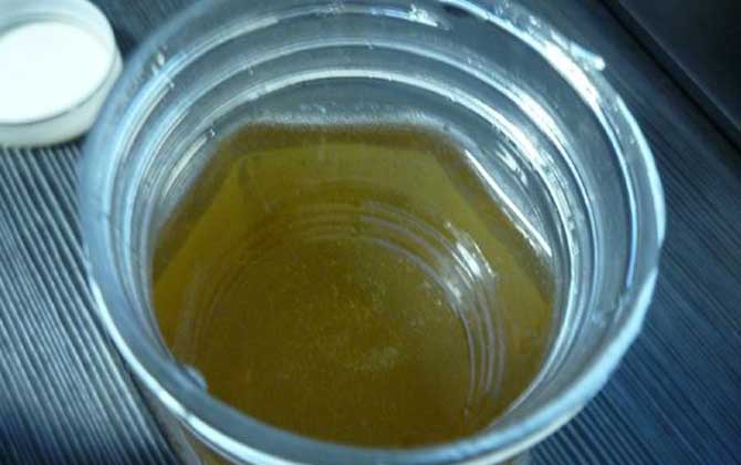 蜂蜜價格由什么決定的? 蜂蜜價格