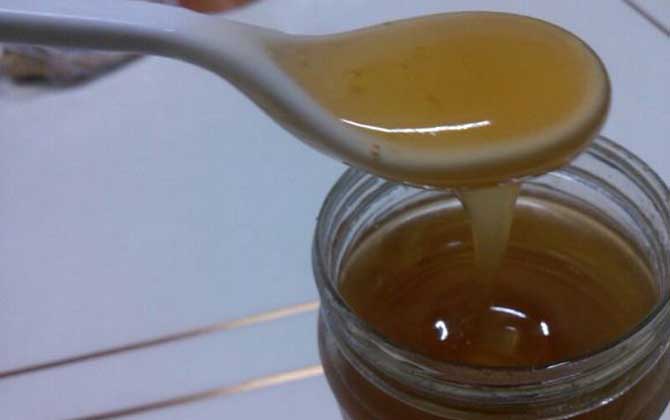 黨參蜂蜜價格多少錢一斤? 黨參蜂蜜