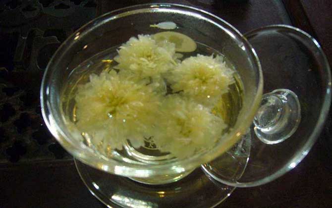 蜂蜜菊花茶的功效及簡單做法 蜂蜜菊花茶