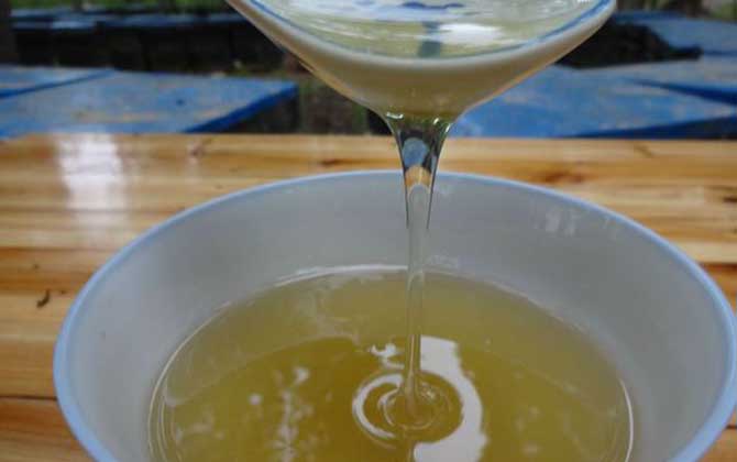 姜湯蜂蜜水的作用及正確喝法 蜂蜜