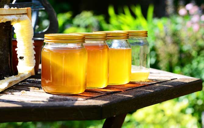 蜂蜜和什么一起喝減肥效果好? 蜂蜜