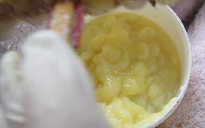 吃蜂王漿有什么好處和禁忌? 蜂王漿