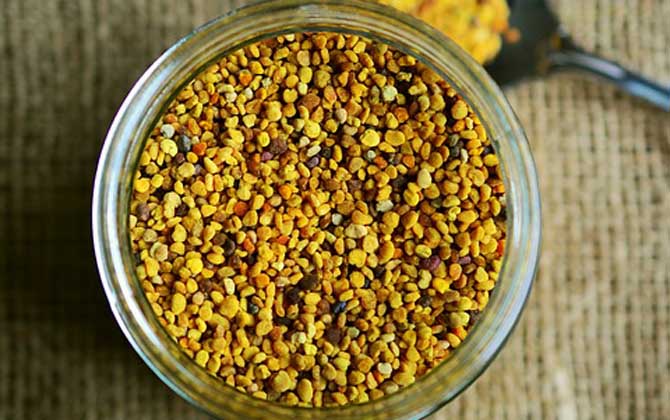 最新蜂花粉價格多少錢一斤? 蜂花粉