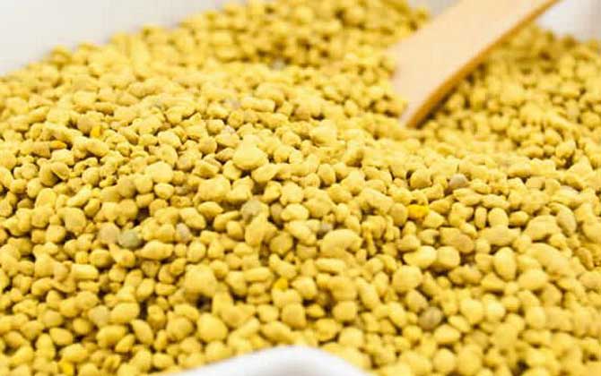 油菜花粉的功效與作用及食用方法 油菜花粉