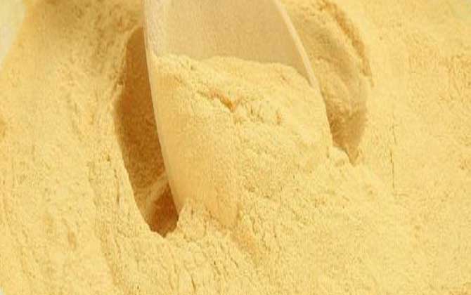 松花粉的功效與作用及食用方法 松花粉