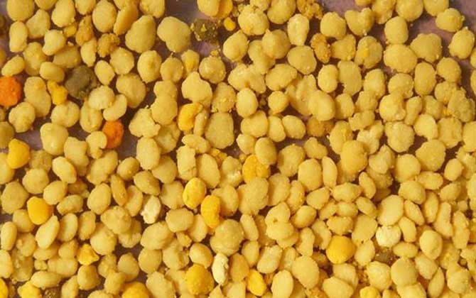 哪些人不適合吃蜂花粉? 蜂花粉