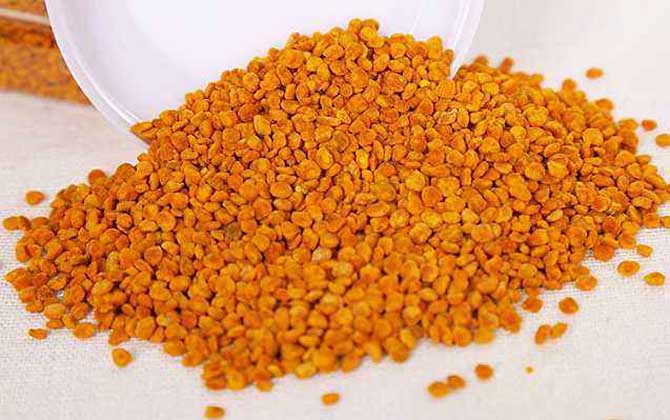 茶花粉怎么吃效果最好? 茶花粉