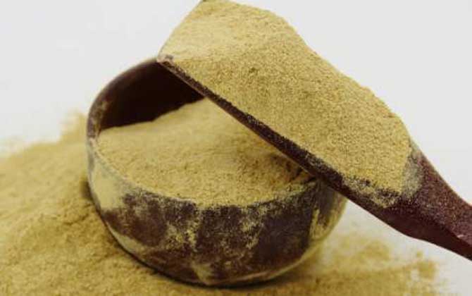 吃松花粉能治肝病嗎? 松花粉