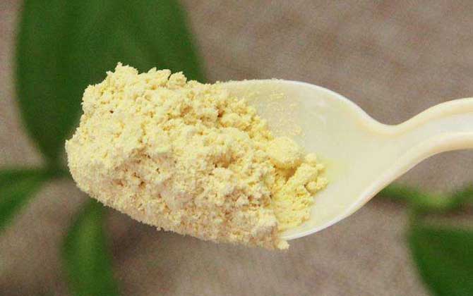 松花粉的作用與功效及禁忌人群 松花粉