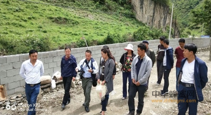 扶貧路上與蜂為伴—中國養(yǎng)蜂學(xué)會審查舟曲縣創(chuàng)建“全國中華蜜蜂之鄉(xiāng)”工作 扶貧路上與蜂為伴—中國養(yǎng)蜂學(xué)會審查舟曲縣創(chuàng)建“全國中華蜜蜂之鄉(xiāng)”工作