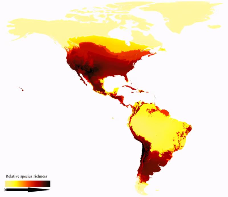 第一張蜜蜂分布世界地圖公布，填補了知識空白，也讓科學家吃驚了