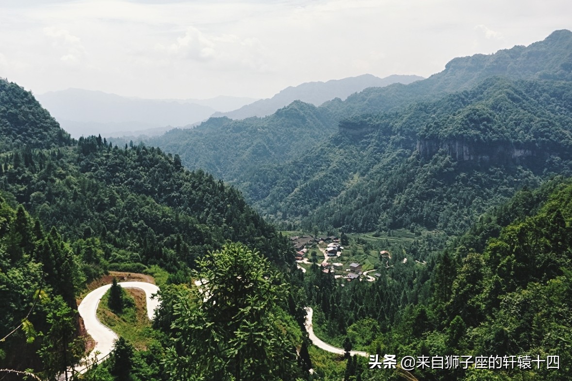 探尋養蜂人，取蜂蜜要用煙熏