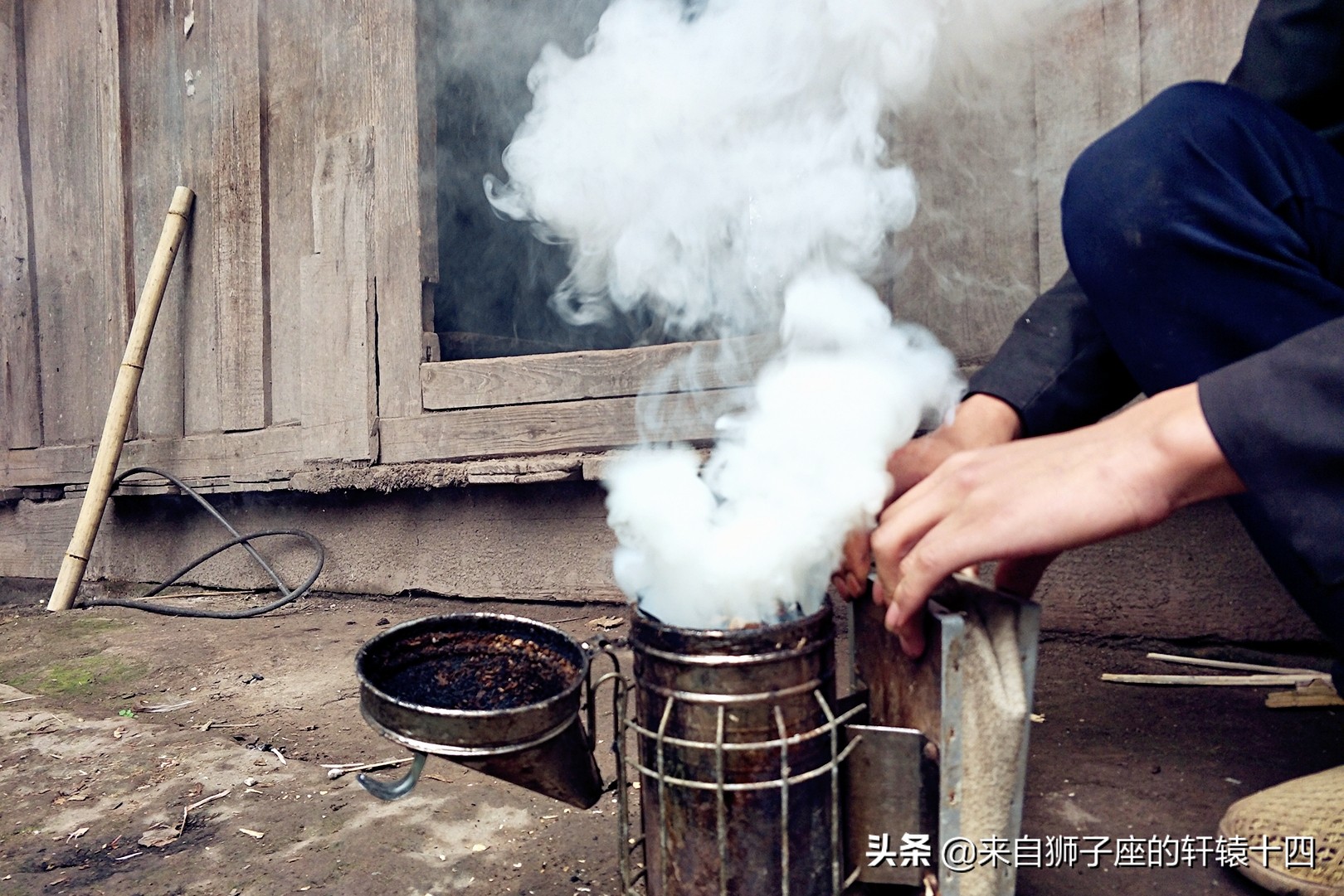 探尋養蜂人，取蜂蜜要用煙熏