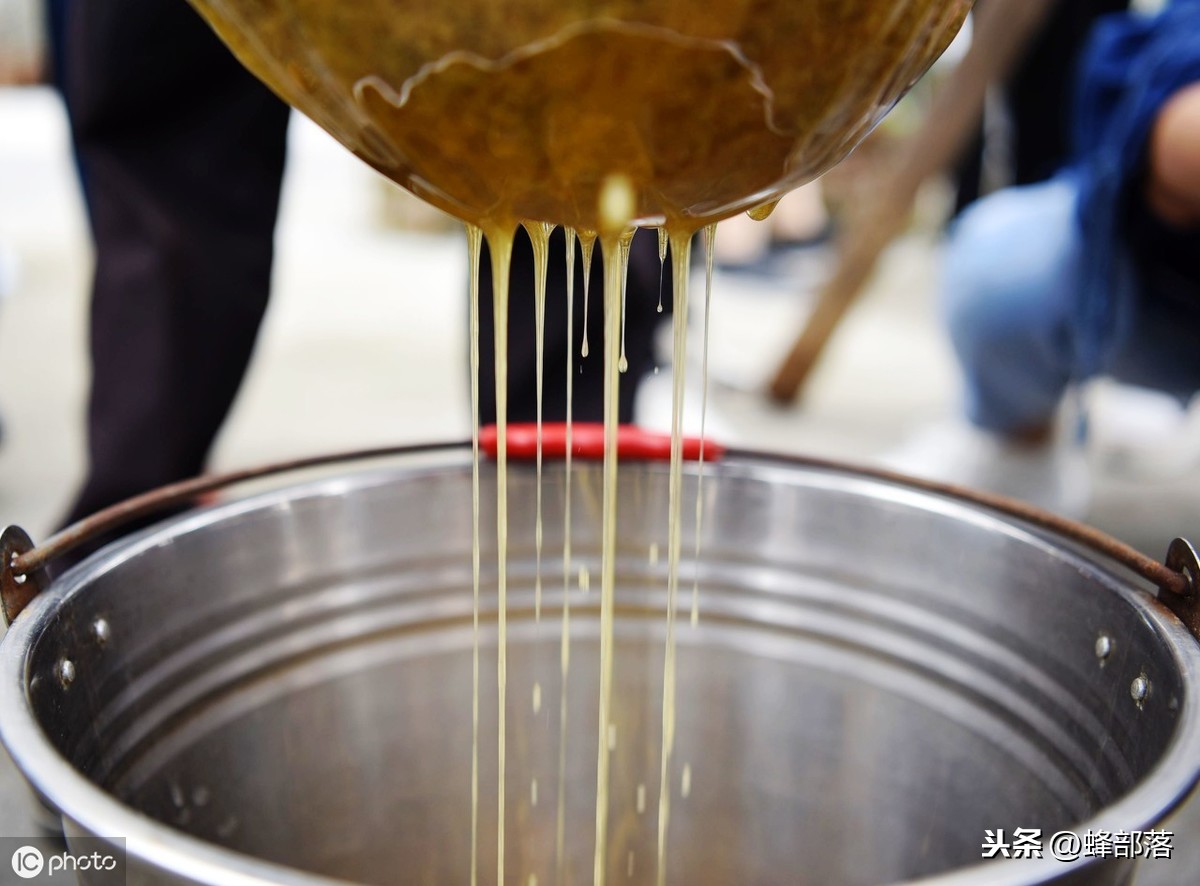 蜜蜂養殖，養殖場蜜蜂多，如何取蜜好？老蜂農：3個配合取蜜更好