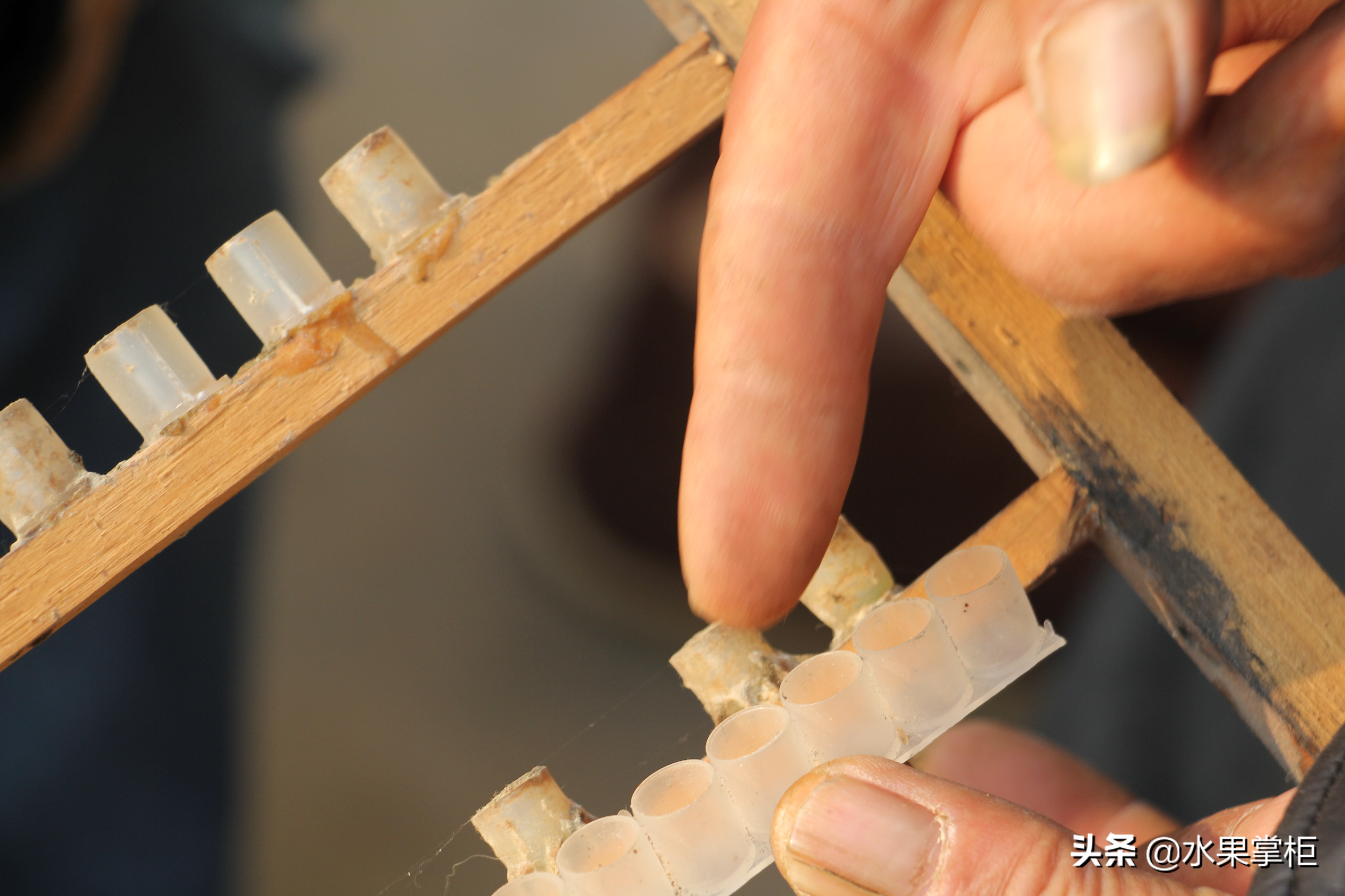 漲知識：農(nóng)家養(yǎng)土蜂蜜的工具，你認識幾個？留言回復，連載哦