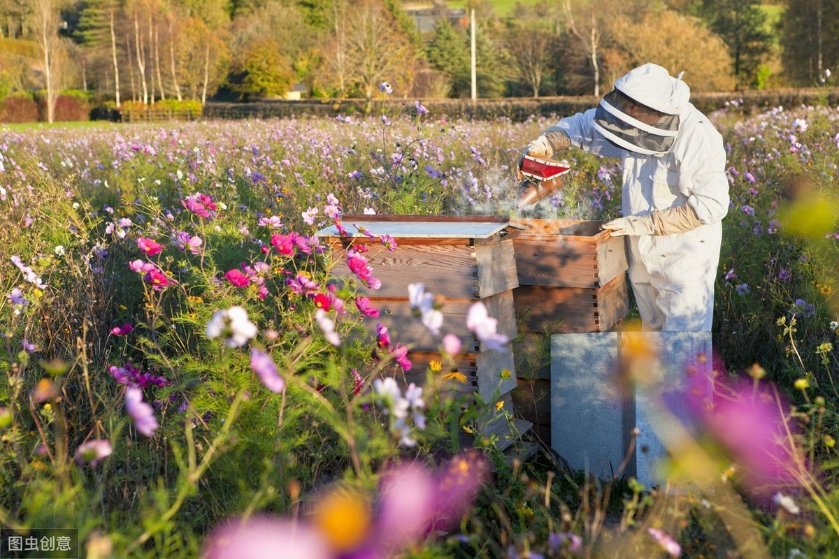 為什么用分區(qū)法能抑制“白堊病”？因此法是以“五不”為管蜂原則
