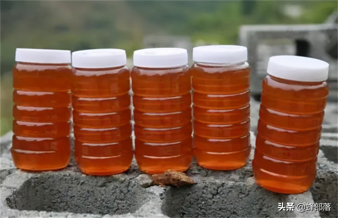 意大利引進(jìn)國(guó)內(nèi)的蜜蜂，嚴(yán)重危害中華蜜蜂，為啥我國(guó)還要大量養(yǎng)殖？