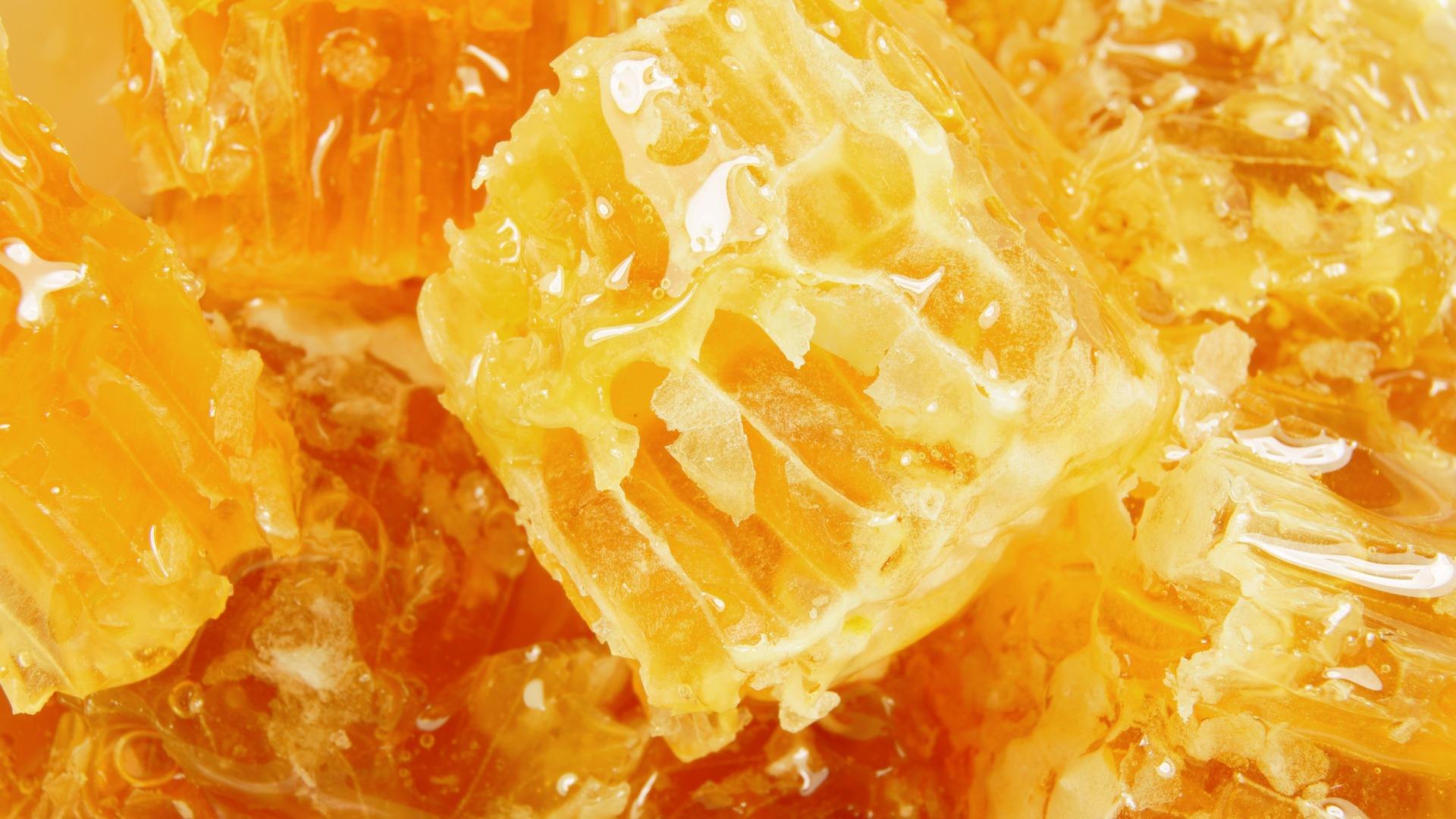 蜂房能吃么(蜂房的食用方法) 蜂房能吃么(蜂房的食用方法)