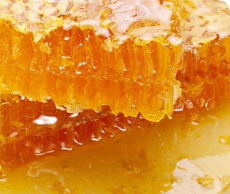 黑蜂蜂蜜的作用與功效及食用方法（黑蜂蜜的營(yíng)養(yǎng)價(jià)值）