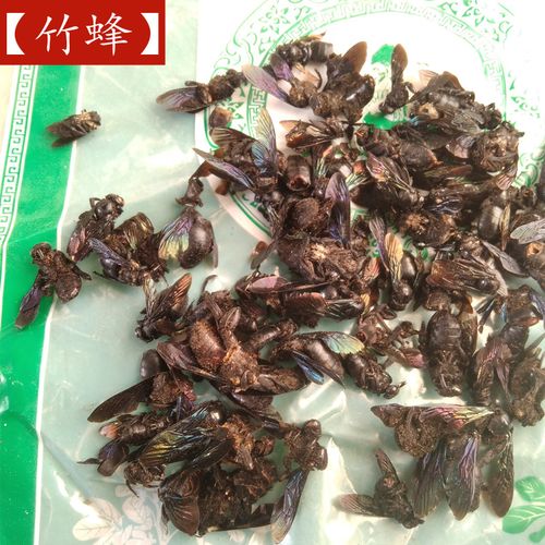 咸竹蜂是什么蜂(咸竹蜂的功效作用與禁忌) 咸竹蜂是什么蜂(咸竹蜂的功效作用與禁忌)