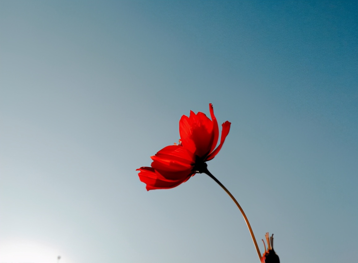 越是無人懂你，越要愛自己（沒有人會永遠愛你，除了你自己）