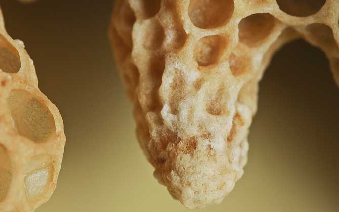 蜜蜂王是天生的還是發(fā)展起來的（蜂王是怎樣產(chǎn)生的）