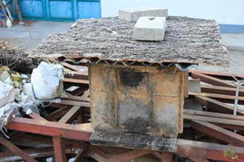 購買蜂群帶脾好還是不帶脾好(有脾和無脾飼養方式的區別) 購買蜂群帶脾好還是不帶脾好(有脾和無脾飼養方式的區別)