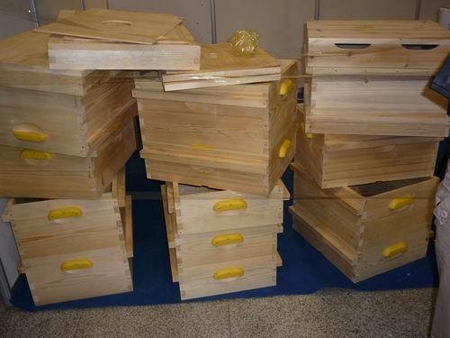 養(yǎng)中蜂在蜂場里喂水可以嗎（給蜂群喂水的五種方法及其利弊）