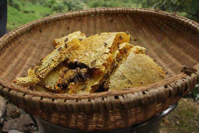 新蜂箱過箱怎么處理? 新蜂箱過箱怎么處理?