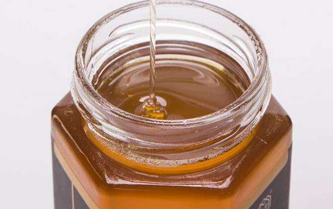 野菊花有花蜜嗎(野菊花的花期) 野菊花有花蜜嗎(野菊花的花期)