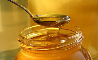 蜂王的區(qū)別(蜂王的種類)(什么是蜂王) 蜂王的區(qū)別(蜂王的種類)(什么是蜂王)