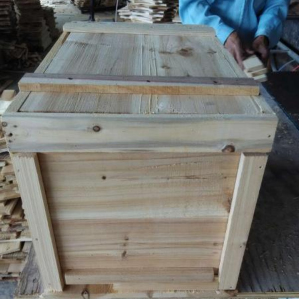 蜂王一個月產幾次卵(產卵少是什么原因) 蜂王一個月產幾次卵(產卵少是什么原因)