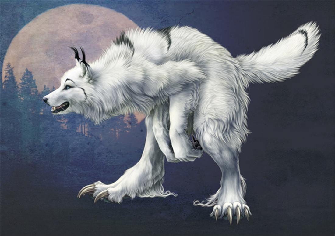 “狽”的原型不是豺,更不是狼獾,為何是狼群中的殘疾狼 長白山多次出現“狽”,最早記載于西漢,奔跑時前腿搭在狼身上