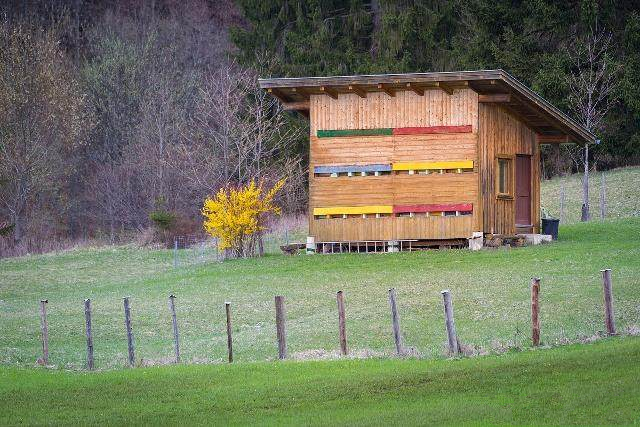 如何定地養殖蜜蜂（定地養蜂場地與模式選擇）