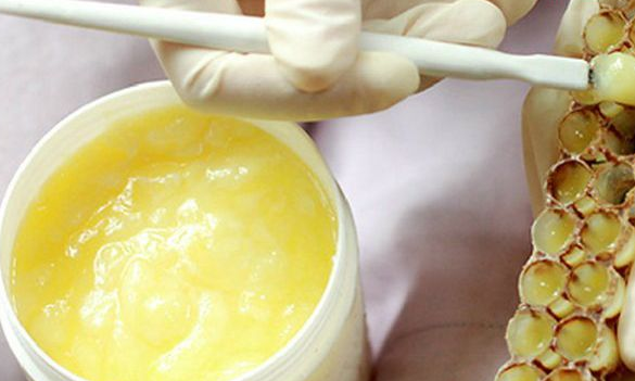 蜂乳和蜂蜜的區別（什么是蜂乳，和蜂蜜有啥區別）